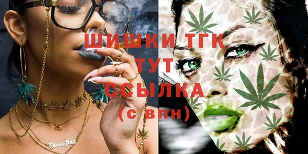 мдпв Надым
