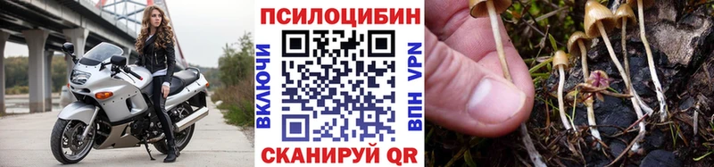 Псилоцибиновые грибы GOLDEN TEACHER  цена наркотик  Нововоронеж 