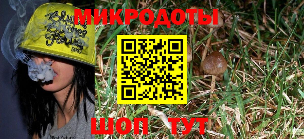 Псилоцибиновые грибы мицелий Нововоронеж