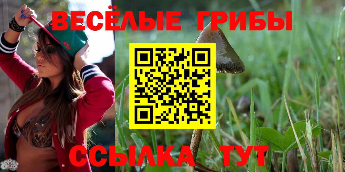 Галлюциногенные грибы MAGIC MUSHROOMS  Галлюциногенные грибы мухоморы  Вход с VPN  Нововоронеж 