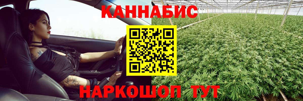 Шишки марихуана марихуана Нововоронеж